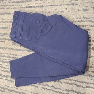 J brand skinny leg pants light navy